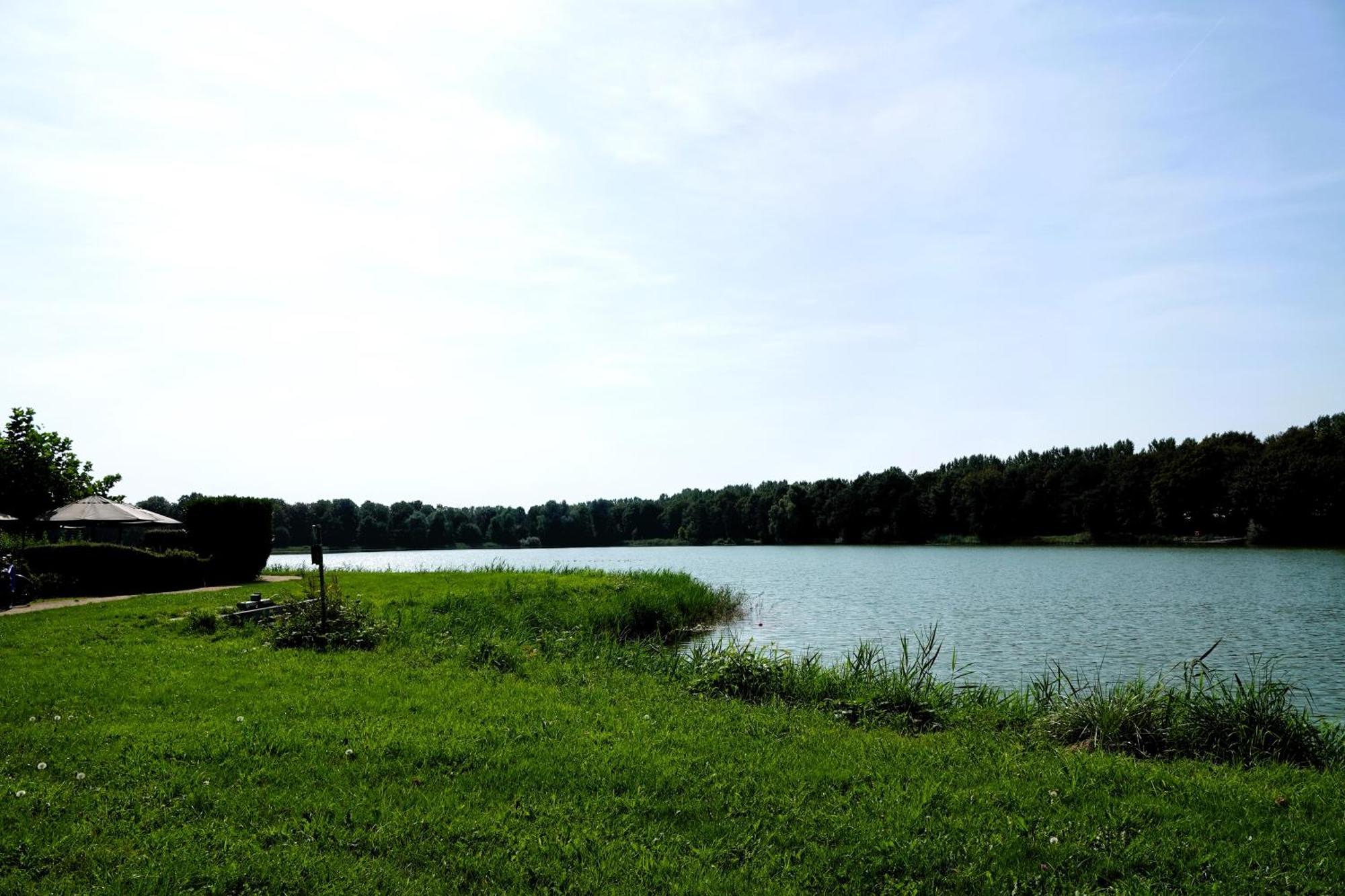 Tiny Zen House In Heinkenszand With Private Sauna, Airco, Outdoor Swimming Pool, Wifi And 2 Bedrooms Buitenkant foto